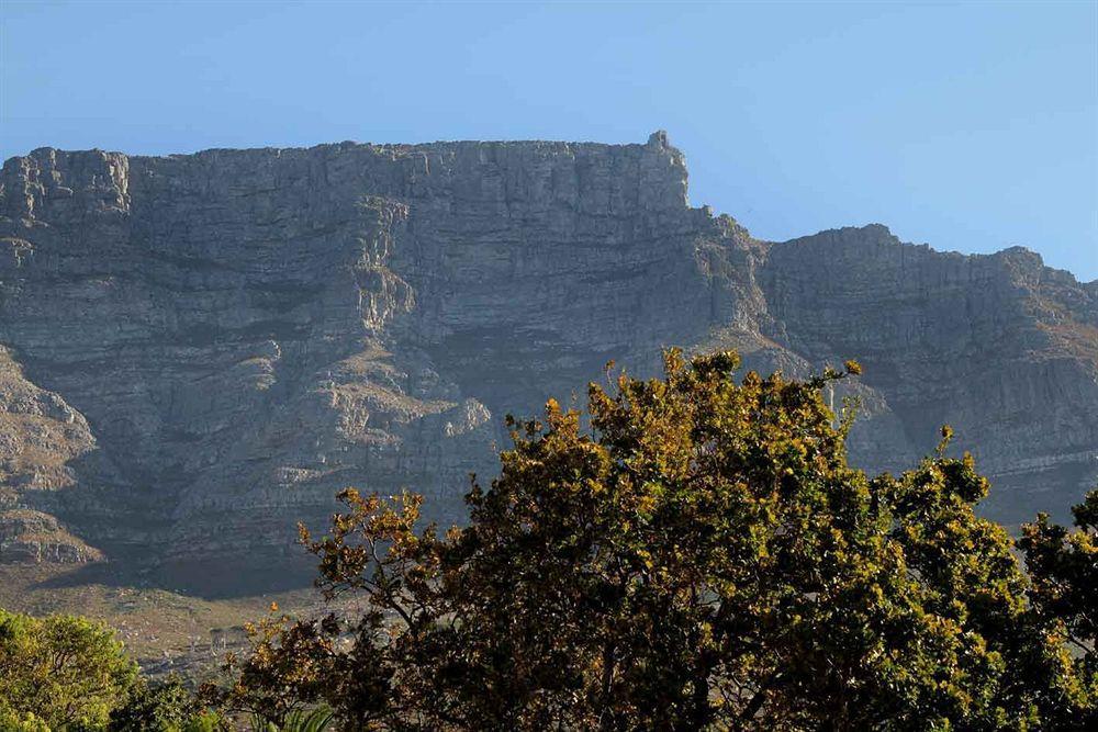 Three Boutique Hotel Cape Town Dış mekan fotoğraf